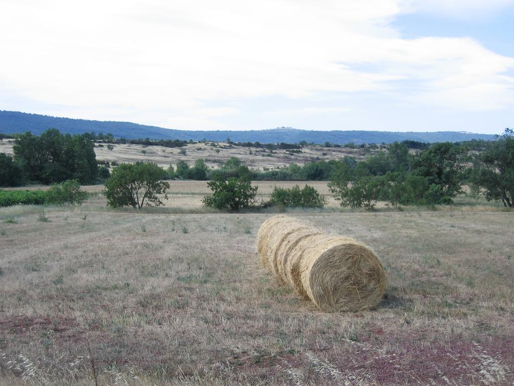 Gite Du Salagou Octon Luaran gambar